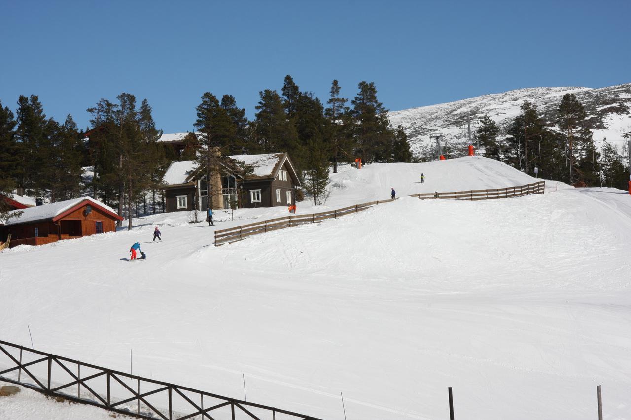 Lemonsjo Fjellstue Og Hyttegrend Randsverk Екстер'єр фото
