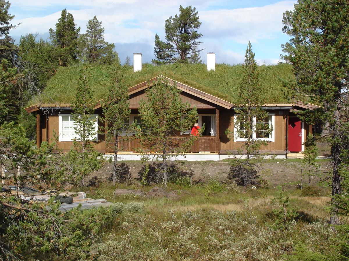 Lemonsjo Fjellstue Og Hyttegrend Randsverk Номер фото