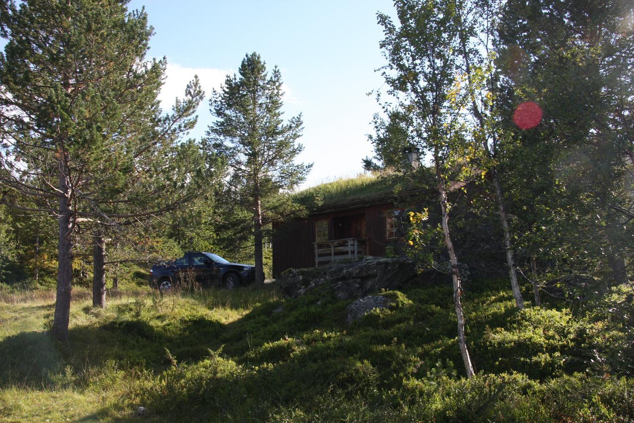Lemonsjo Fjellstue Og Hyttegrend Randsverk Екстер'єр фото