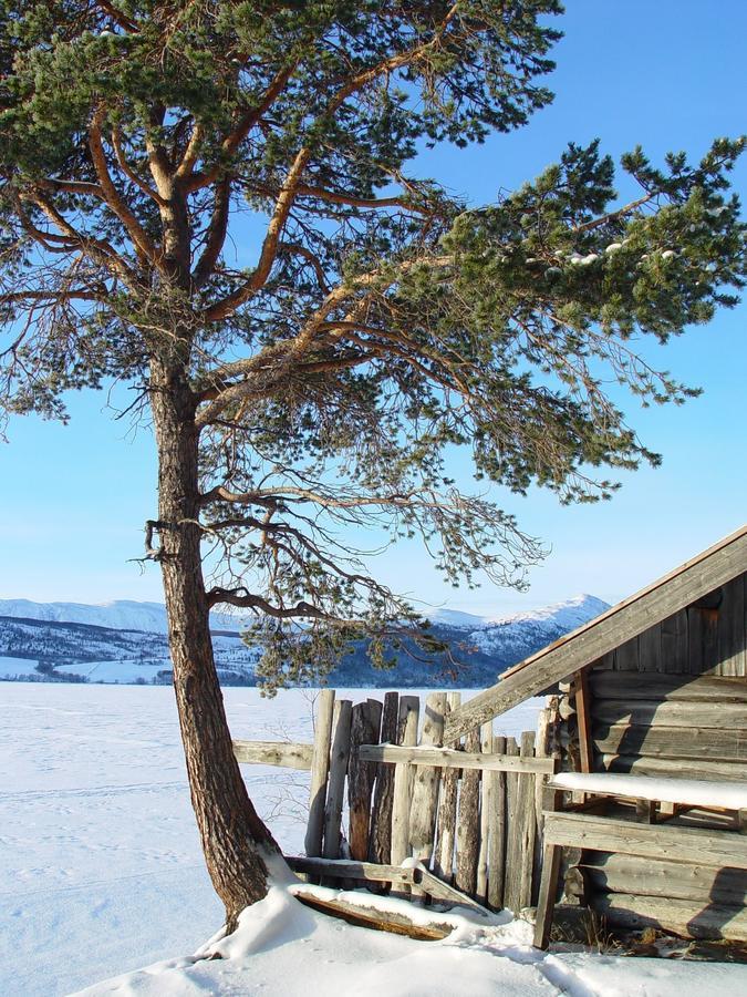 Lemonsjo Fjellstue Og Hyttegrend Randsverk Екстер'єр фото